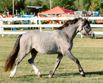 Crown Ridge Legendary